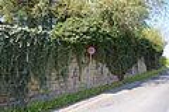 Cemetery wall