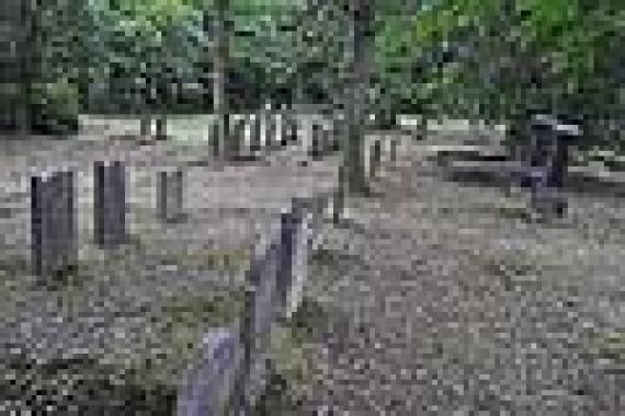 Graves in the cemetery