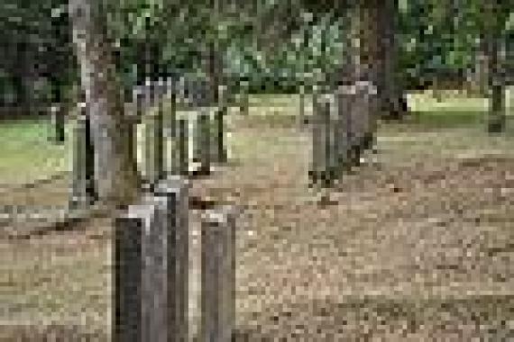 Graves in the cemetery