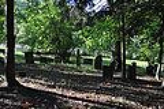 Graves in the cemetery