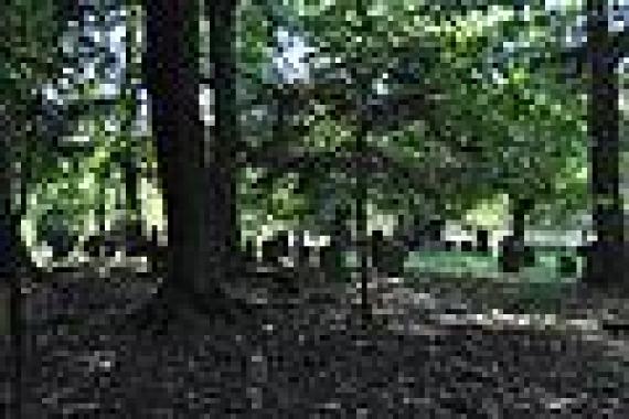 Graves in the cemetery