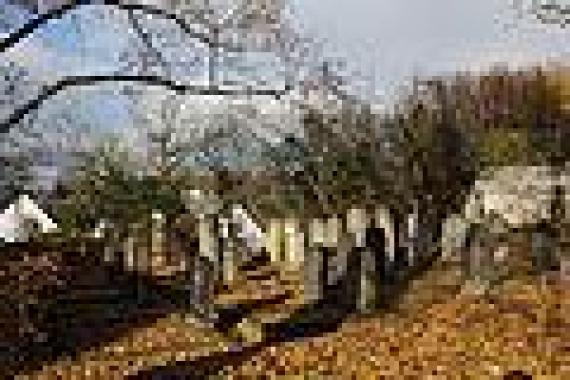 Old part of the Jewish cemetery in Vallendar, behind the gravestones the gate to the plot can be seen