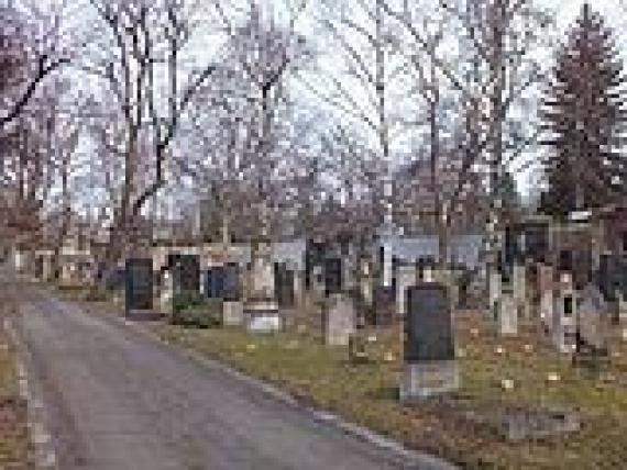 Partial view of the cemetery