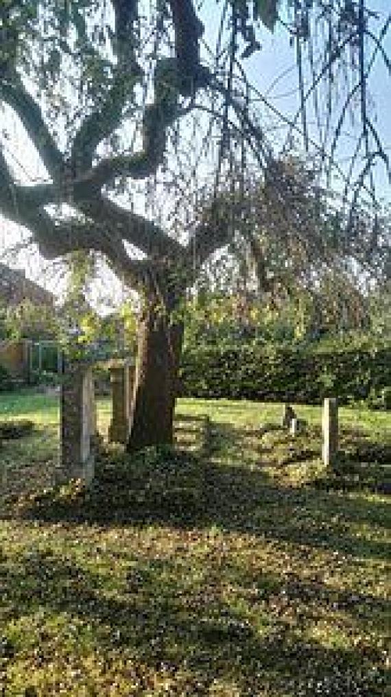 Der jüdische Friedhof in Havixbeck The Jewish cemetery in Havixbeck