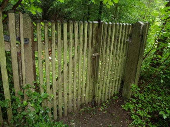 wooden entrance gate covered with verdigris, overgrown with ivy