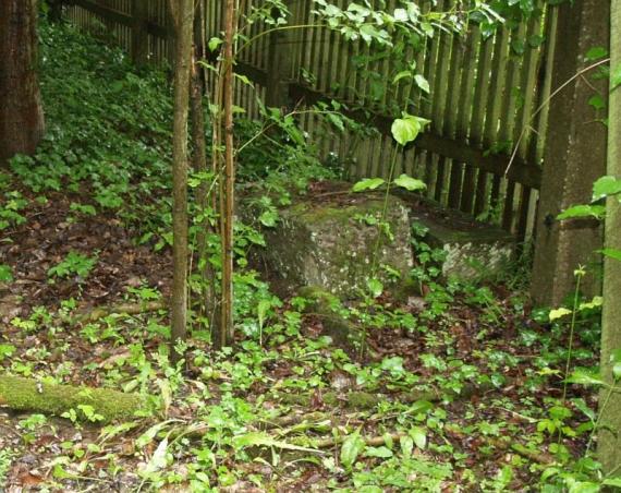 von Moos bewachsener Stein auf grünem Boden, im Hintergrund der Zaun