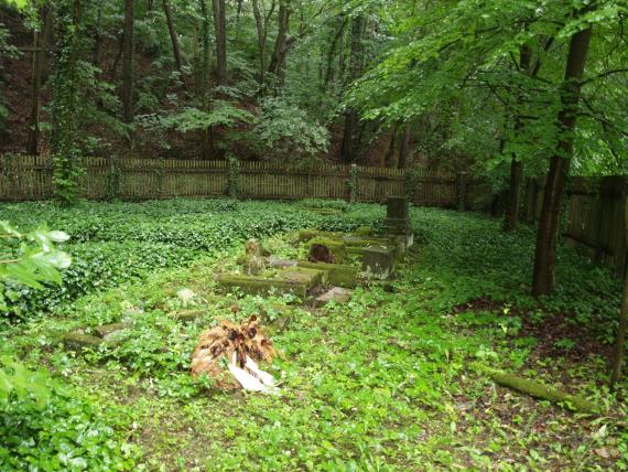 Ground covered with ivy, graves virtually disappear, on one grave lies a flower arrangement