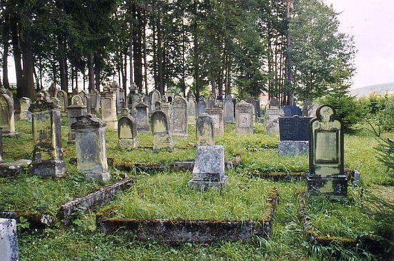 several rows of gravestones in a clearing