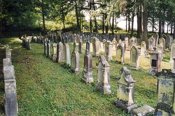 several rows of gravestones in a wooded area