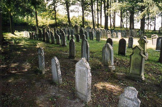 several rows of tombstones