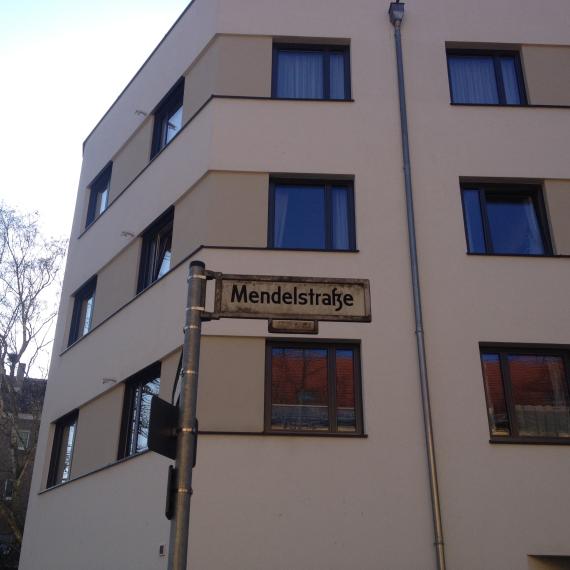 Straßenschild "Mendelstraße" vor einem Neubau