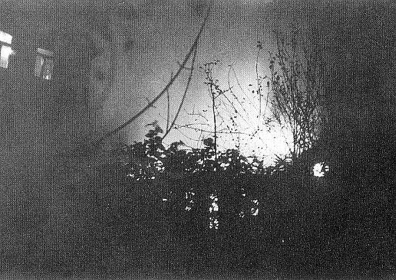 Black and white photo: in the foreground silhouette bushes, behind flames