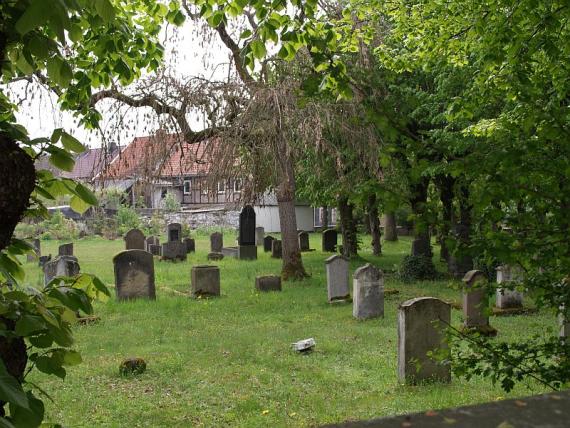 weathered gravestones between the trees