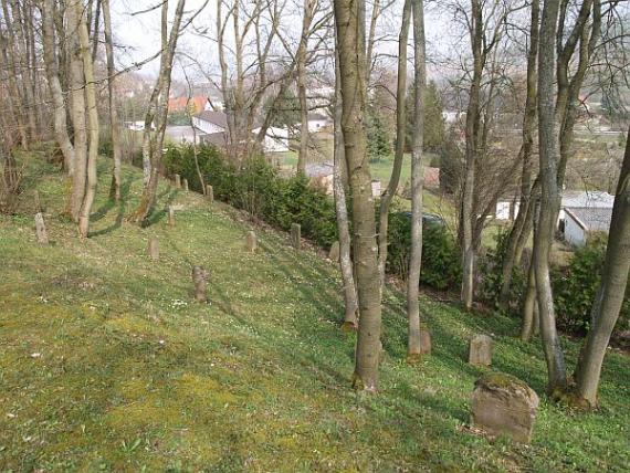 View from the hill: weathered gravestones between deciduous trees