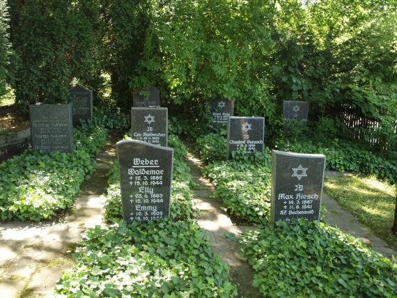 Gravestones from the 1940s, graves covered with ivy