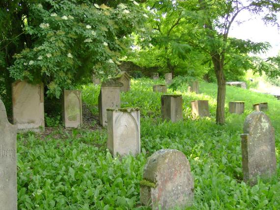 weathered gravestones between dandelions