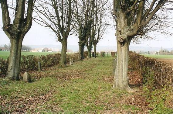 narrow cemetery, willows at the sides, gravestones in between