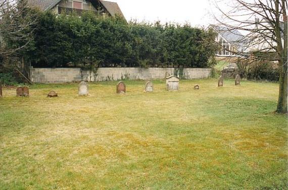 Piece of lawn with a row of gravestones, behind it a hedge