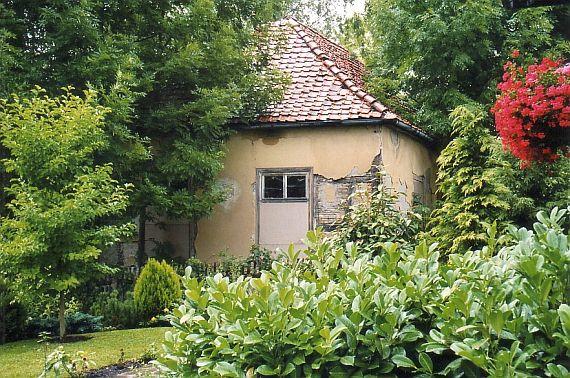 dilapidated building behind a lot of green