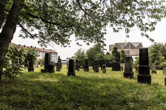 Green lawn with many gravestones in the shade of trees