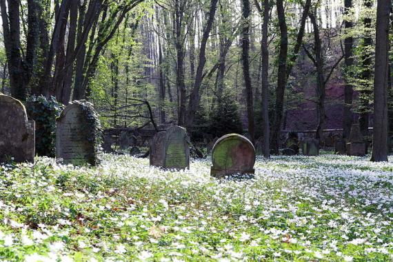 verwitterte Grabsteine auf einer Blumenwiese