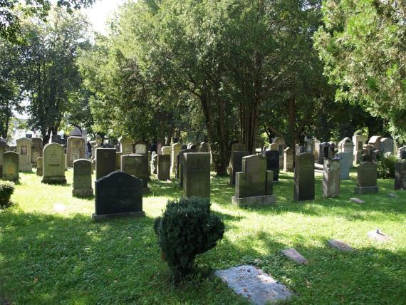 Grass area with several gravestones and trees