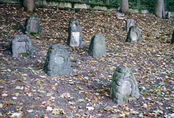 Firedhof site with old gravestones, ground covered with foliage and moss