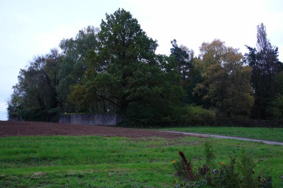 Enclosure wall of the Jewish cemetery between Schweinheim and Obernau near Aschaffenburg