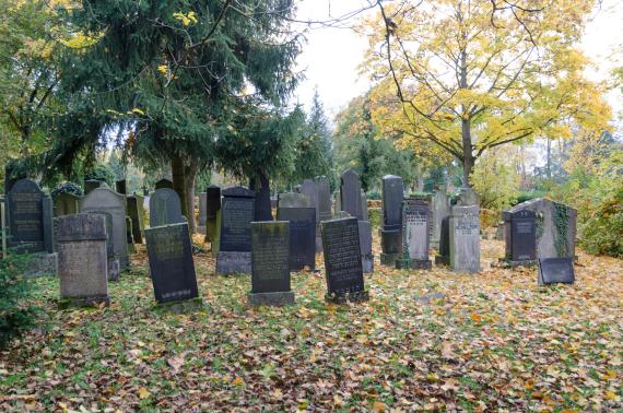 Several dark gravestones in autumn garden