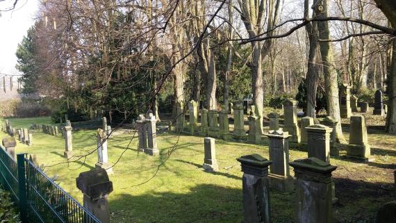 Grabsteine auf dem grünen Rasen in der Sonne, hinten Bäume