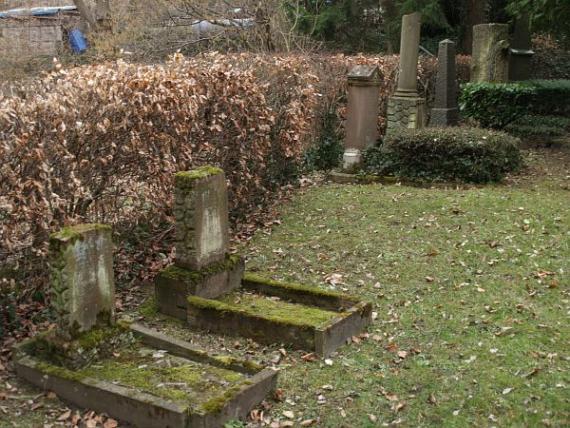 Gravestones, hedge, lawn