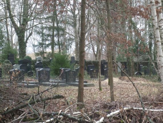 On the right side are the newer graves from the 20th century to the present time (view from the southeast). They are mostly decorated with a Star of David.