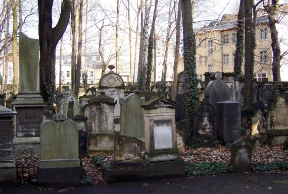 Viele Grabsteine in verschiedenen Größen auf dem alten jüdischen Friedhof, drum herum Bäume