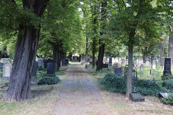 Auf der Ostseite des Friedhofes liegen die älteren Gräber aus dem 19. und beginnenden 20. Jahrhundert (Blick nach Norden). Die Grabsteine weisen nicht nach Osten, sondern nach Süden!