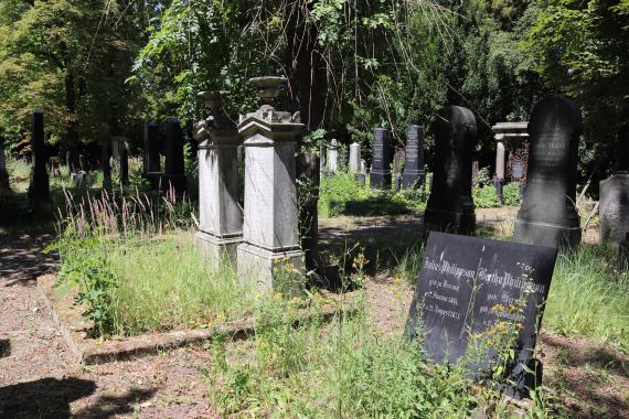 Among the older graves is that of Magdeburg merchant Julius Philippson (1814-71), the youngest brother of Rabbi Ludwig Philippson (looking northwest).