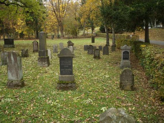 Partial views of the main occupation area of the graves, next to it a street