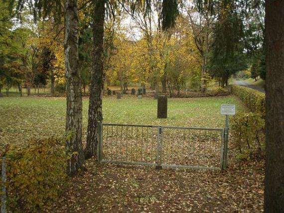 Iron cemetery gate leading to autumn cemetery