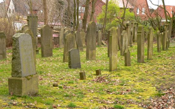 Row of graves on green lawn