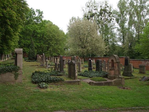 On display are about 30-40 tombstones