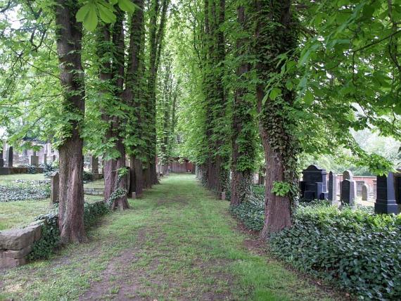 Grasbewachsene Allee die durch den Friedhof führt