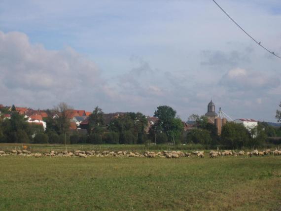 Obervorschütz von Westen