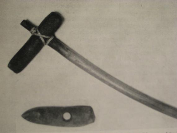 Steinbeil aus Obervorschütz