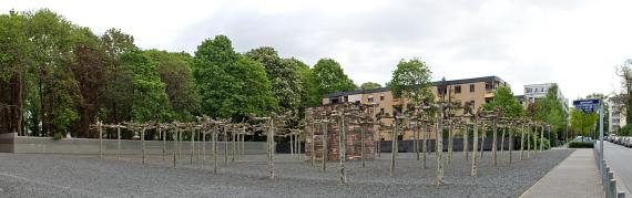 On a gravel field several trees placed in rows and in the center a cube