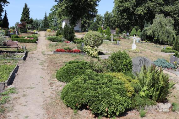 Friedhof mit mehreren Gräbern und Bepflanzungen auf den Grabstellen