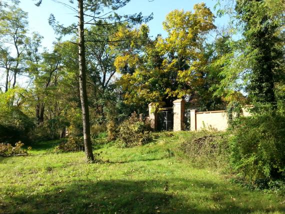 The cemetery area