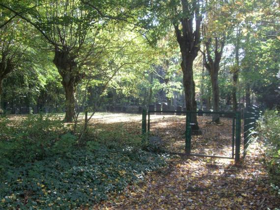 Part of the cemetery area - view to southeast