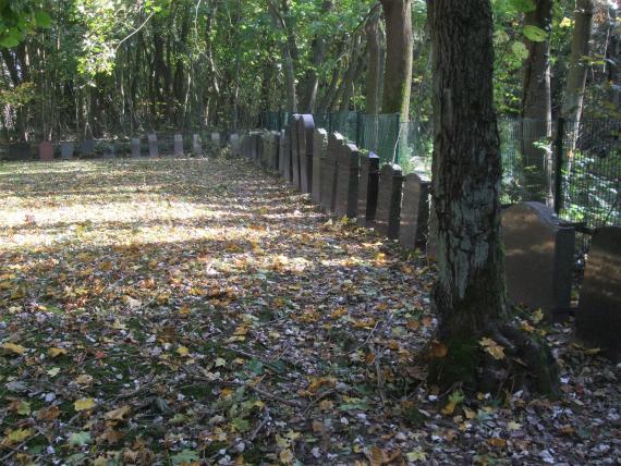 The 53 preserved gravestones