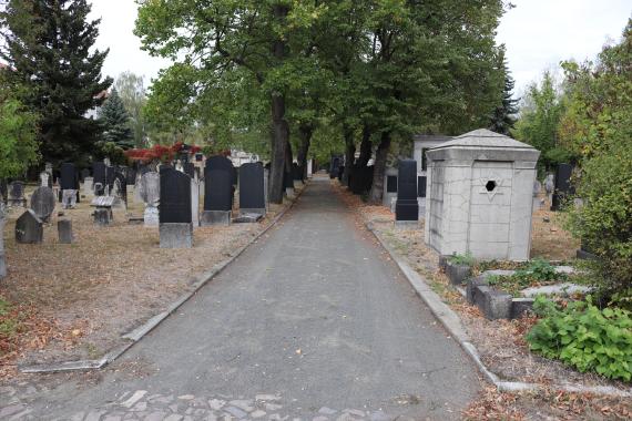 Hauptweg auf dem Friedhof