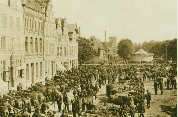 Friedrichstadt Horse Market