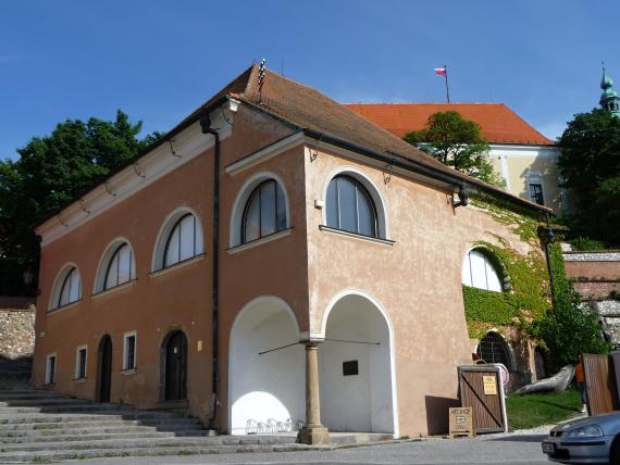 Ockerfarbene zweistöckige Synagoge mit Halbkreisfenstern, an der Seite mit Efeu bewachsen.